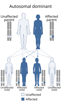 Autosomal dominant mode of inheritance