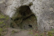 Bild 5: Höhlenportal der Burghöhle (November 2013)