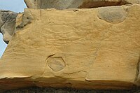 Bouma A interval of a turbidite showing dish structures with pillar structures between the dishes, Northern California.