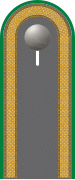 Dienstgradabzeichen auf der Schulterklappe der Jacke des Dienstanzuges für Heeresuniformträger der Panzergrenadiertruppe.