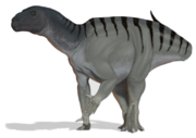 Iguanodon, an early member of hadrosauriformes which was primarily quadrupedal