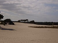 3. Soester Duinen