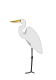 Ardea alba