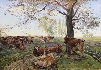 Milking at Dyrehavegård, near Kolding