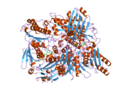 1wyg: Crystal Structure of a Rat Xanthine Dehydrogenase Triple Mutant (C535A, C992R and C1324S)