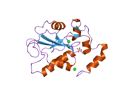 2ifd: Crystal structure of a remote binding site mutant, R492L, of CDC25B Phosphatase catalytic domain