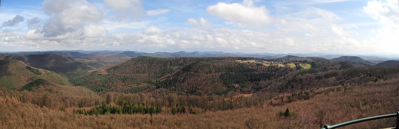 Panoramabild vom Weißenberg aus über große Teile des mittleren Pfälzerwaldes