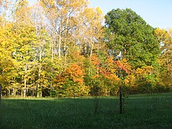 Scenery in the township