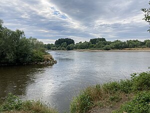 Ujście Wisłoki do Wisły.