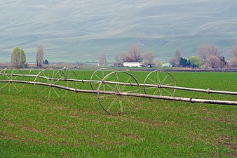 Irrigation System in Whitstran