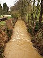 Der Fluss Foivre in Wignicourt