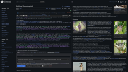 Working seamlessly with WikiEditor in dark mode