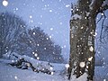 Schneefall auf dem Marburger Rücken