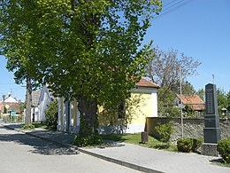 Zvíkovské Podhradí – Veduta