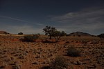 Namib by night