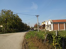 a image of a street in botunja. road to the left, then grass, then houses. powerline in the grass section