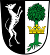 Wappen von Neukirchen