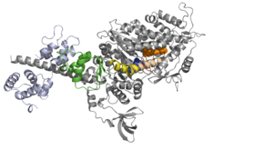 MPH-220 co-crystallized with skeletal muscle myosin