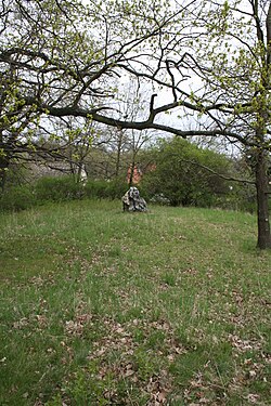 Der Grabhübel von Kröllwitz mit dem Menhir