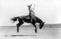 Kitty Canutt, champion lady rider of the world, on Winnemucca