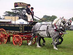 Wagon - Four wheels, agricultural or delivery