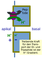 Vorschaubild der Version vom 11:36, 9. Feb. 2020