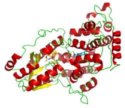 Photolyase