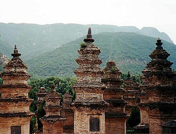 The Pagoda forest (wide view)