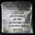 Stolperstein für Hedwig Henriette Strauss (Theresienstraße 19)