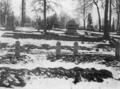 Unknown sailors' graves, Ontario, 1913 Great Lakes storm