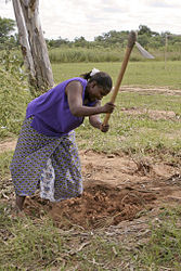 Een zware hak, voor spitwerk (Zambia)