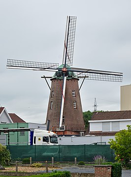 De molen anno 2009