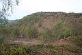 High point on which the earthworks are located, viewed from the NW on the slopes of Cuckoo Rock; earthworks surround around 50% of the visible summit on the left