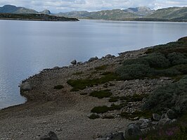 Kalhovdfjord