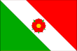 Vlag