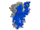 Spike-Protein mit hervorgehobenen Mutationen, Blick von der Seite auf die rezeptorbindende Domäne (RBD)