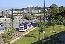 A purple streetcar travels down a set of tracks that cut through a park-like setting with grass and trees. A cable-stayed bridge can be seen in the background.