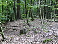 Wo 10/35 Holzturmhügel 2009