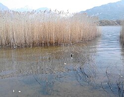 Lake of Annone