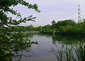 Aufgestauter Oelbach an der Stadtgrenze von Witten und Bochum bei Querenburg