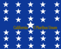 Digital reconstruction of the flag carried by Californios in San Francisco during the admission day parade. Based off written description[36][37]