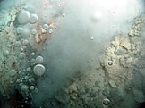 Bubbles of liquid carbon dioxide rising from Eifuku's hydrothermal vents.
