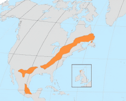 Extent of the Grenville orogeny