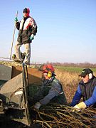 Vrijwilligers hakselen hout na het knotten van wilgen