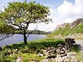 Llyn Cwm Buchan