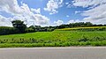 Möllau unterquert die Angelner Straße (Blick zur Mündung)