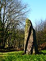 Menhir von Goh-Menhir