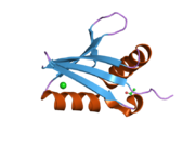 2g4s: Anomalous substructure of NBR1PB1