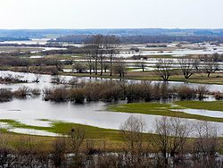 Narew River as seen from Góra Strękowa