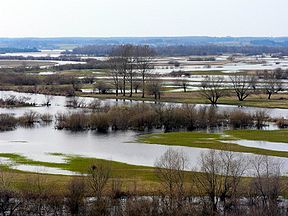 Der Narew bei Góra Strękowa